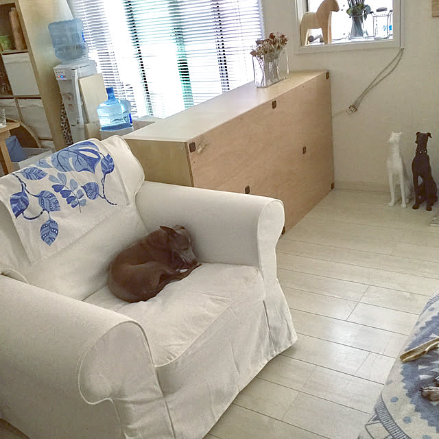 suzyさんの実例写真
