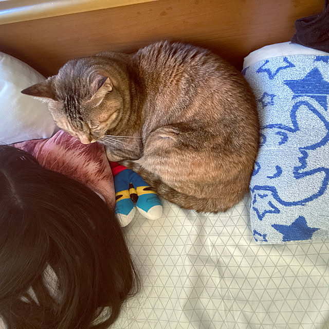 hansho.sさんの実例写真