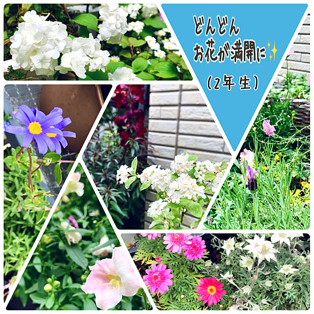 mo-nosukeさんの実例写真