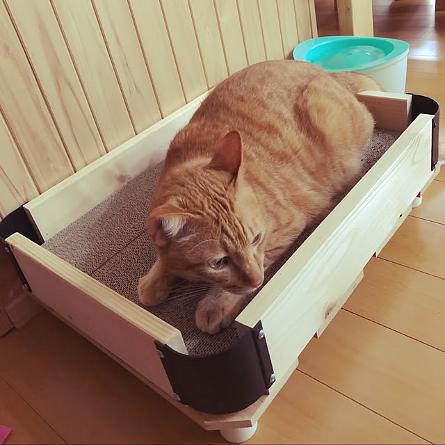 猫スペース/ハンドメイド/リビングのインテリア実例 - 2020-04-27 00:20:52