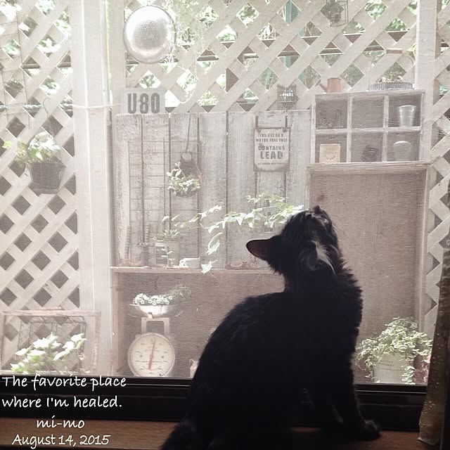 mi_moさんの実例写真