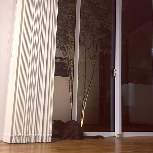 KOHAREさんの実例写真