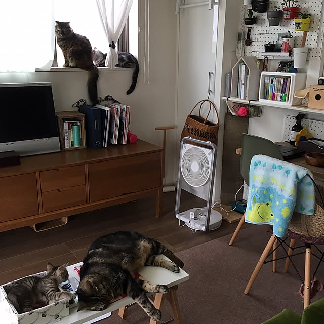 mikomaruさんの実例写真