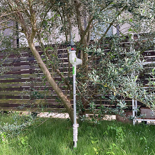 mami3さんの実例写真