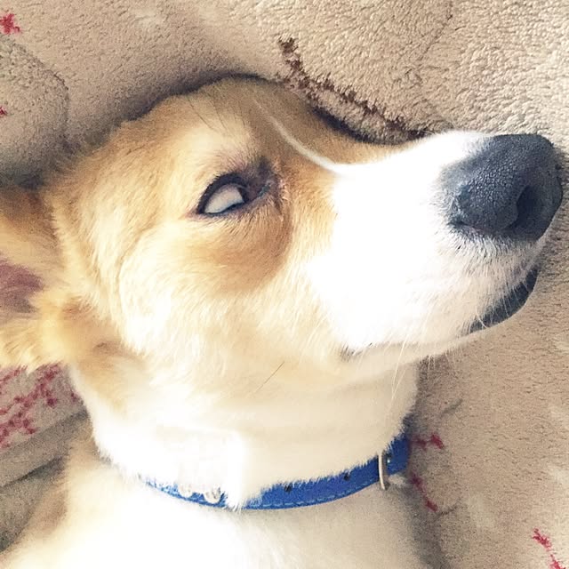 terumi.724さんの実例写真