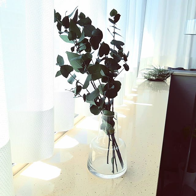pandaさんの実例写真