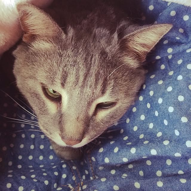 kuruさんの実例写真