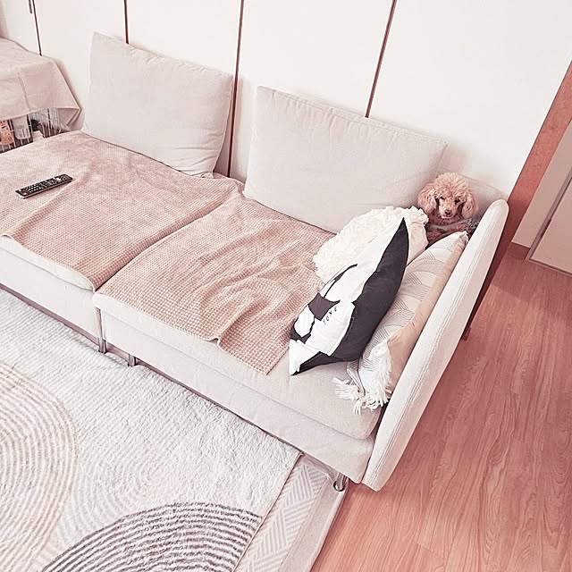 Miri.さんの部屋