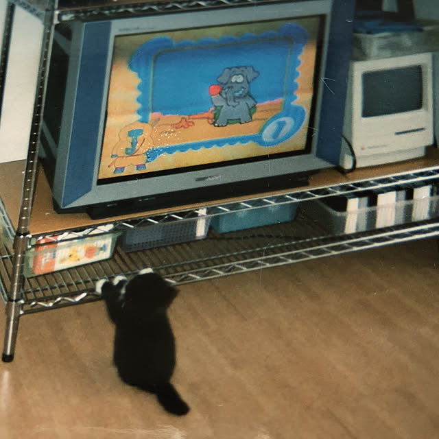 kanaさんの実例写真