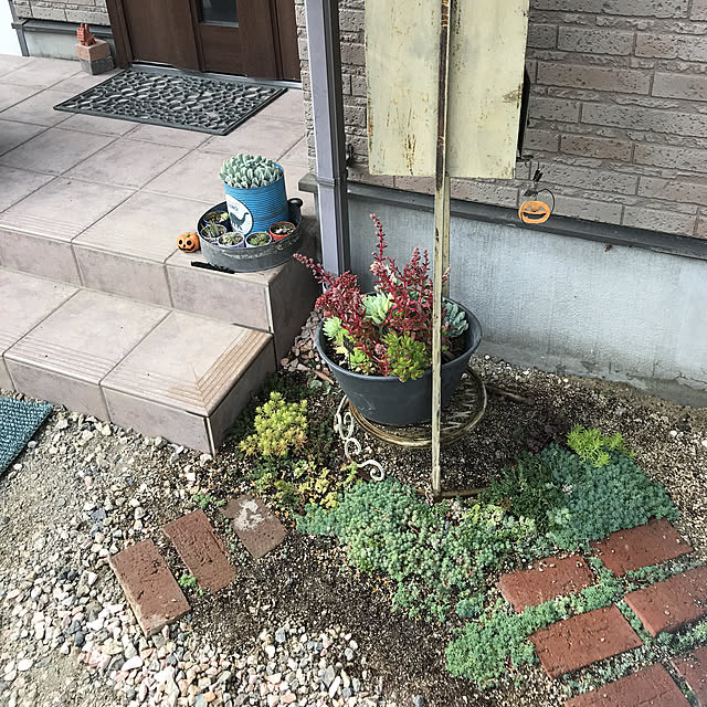 Yukiさんの実例写真