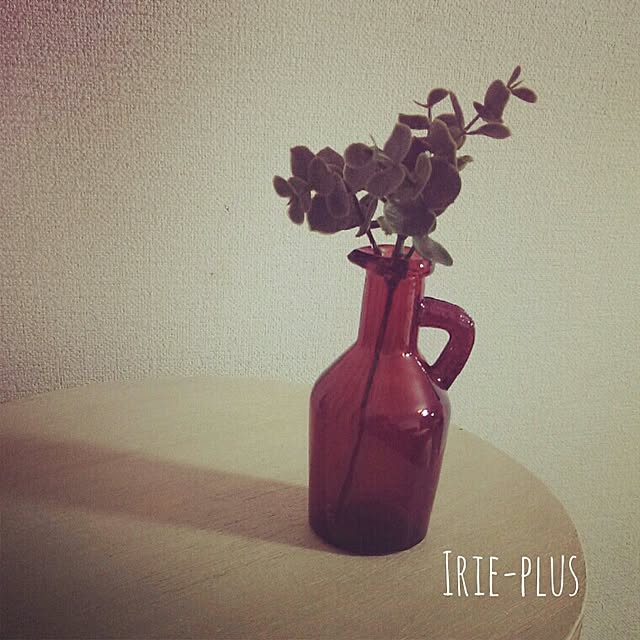 Irie-plusさんの実例写真