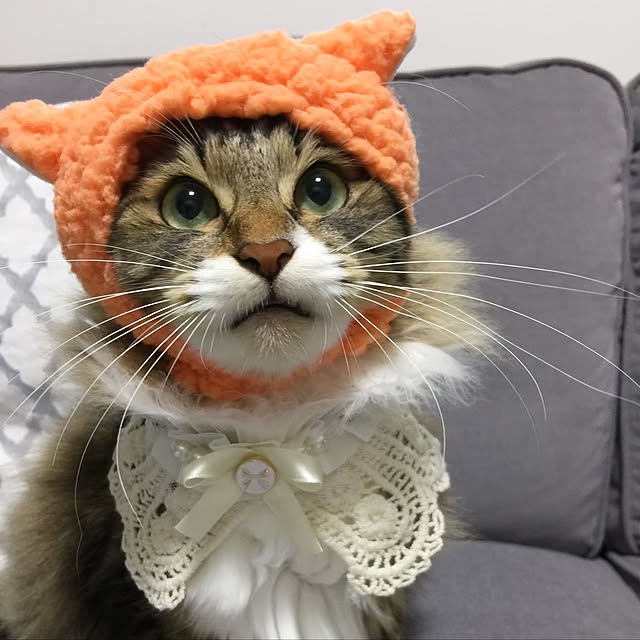 yuchiさんの実例写真