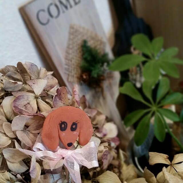 hitomiさんの実例写真