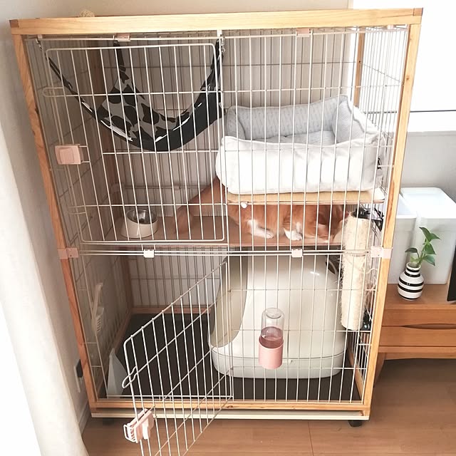 pinokoさんの実例写真