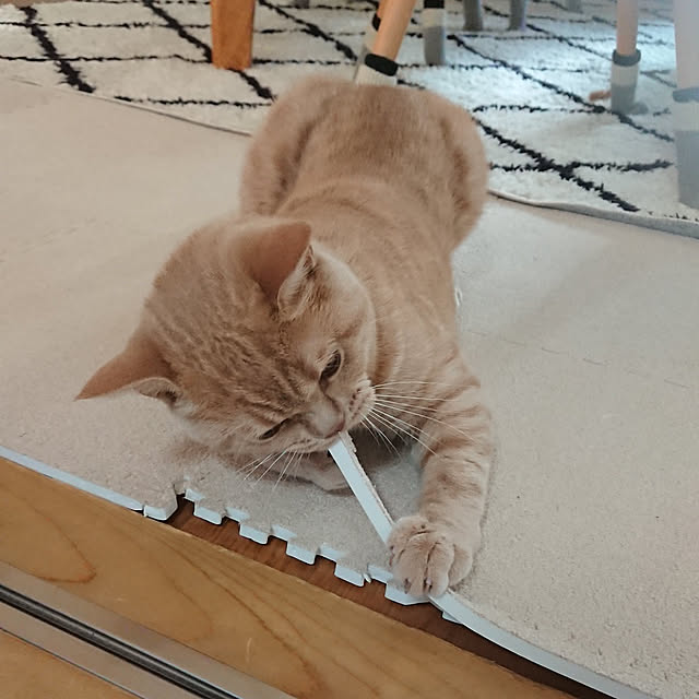 noritamaさんの実例写真