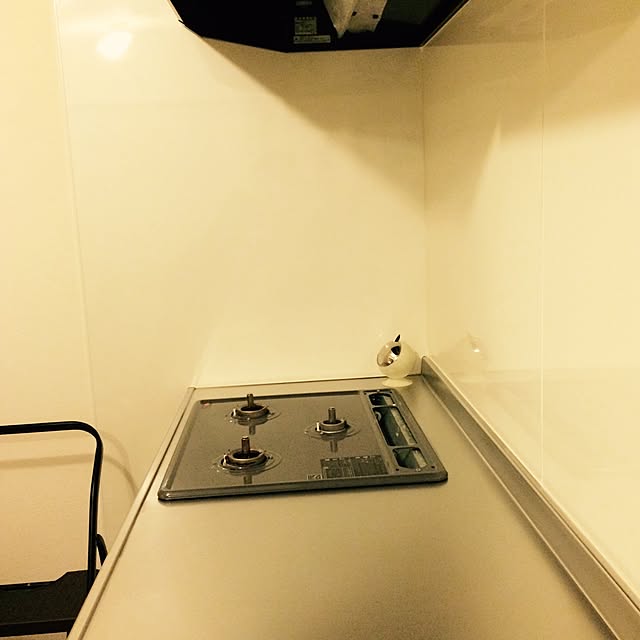maruさんの実例写真