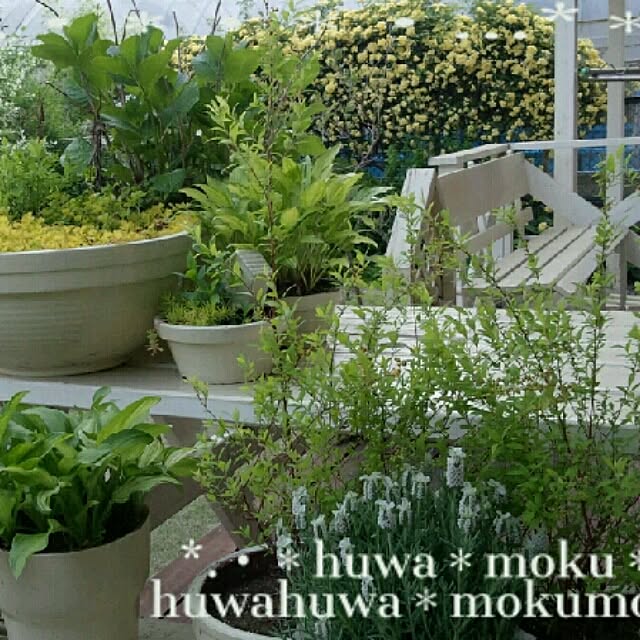 huwahuwa.mokumokuさんの実例写真