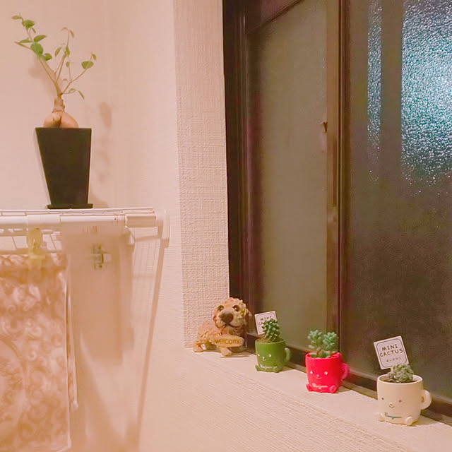 akimiさんの実例写真