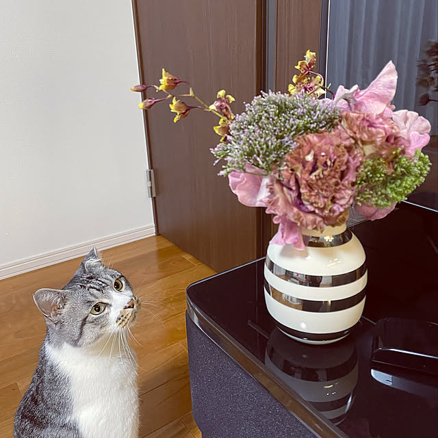 ALPSさんの実例写真