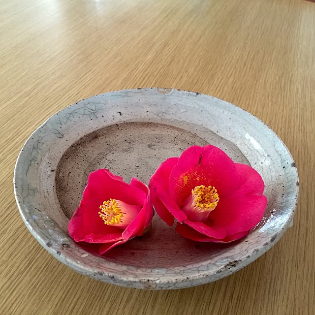 Hiroさんの実例写真