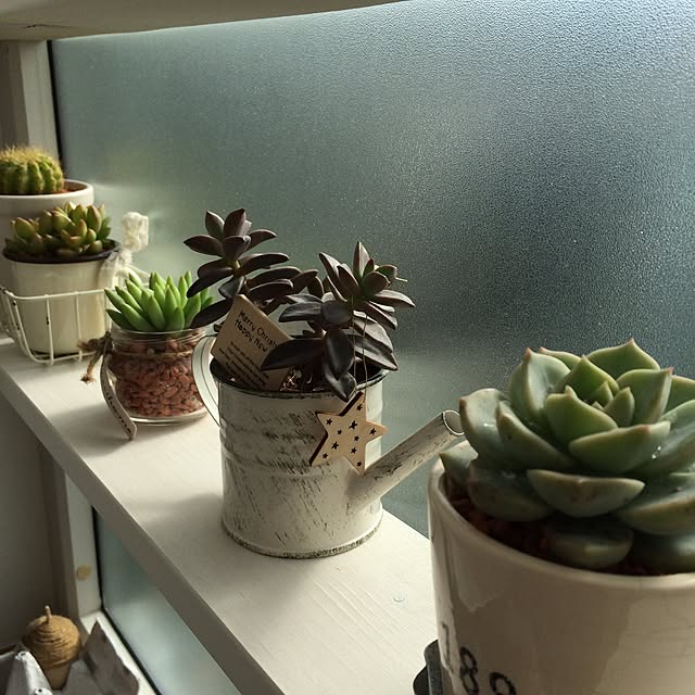 yukkoさんの実例写真