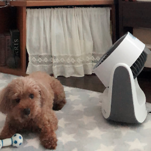 eriharuさんの実例写真