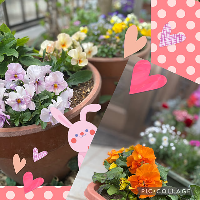 Smilkazuさんの実例写真