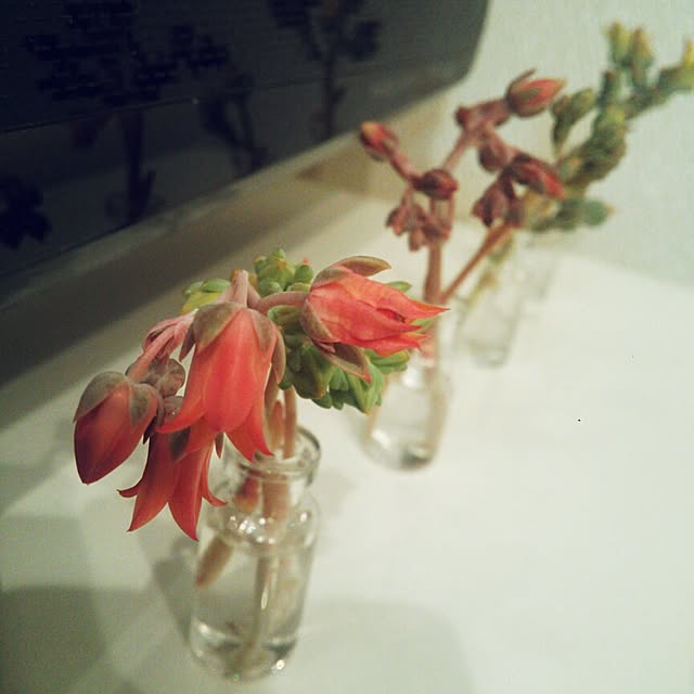 tsukasanさんの実例写真