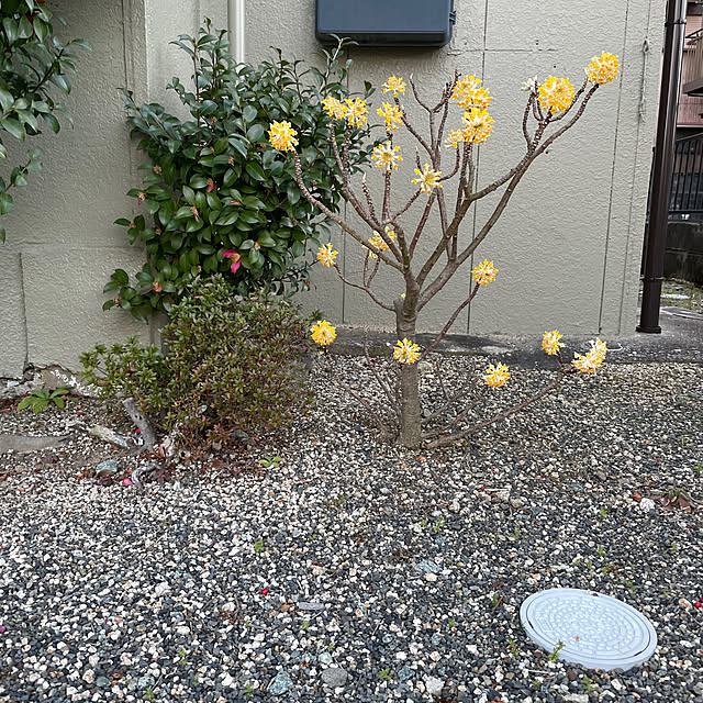 shin0719さんの部屋