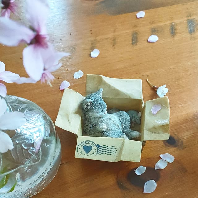 teamoさんの実例写真