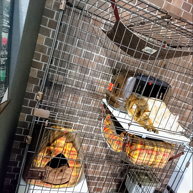 malmさんの実例写真