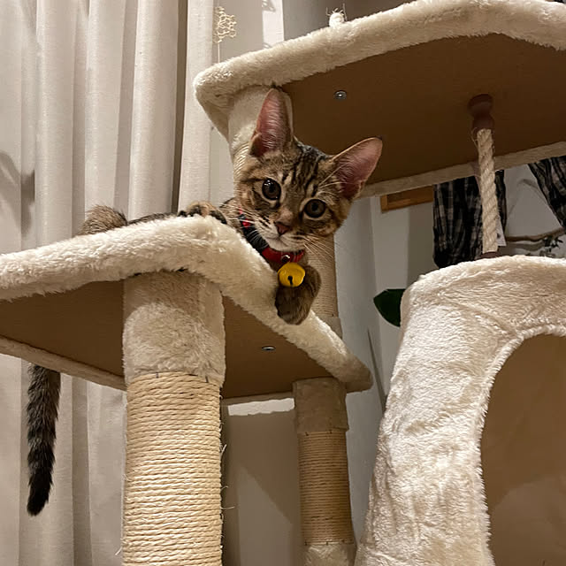 niko.mamさんの部屋