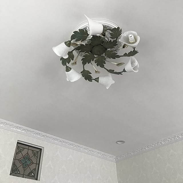 ooyukiさんの実例写真