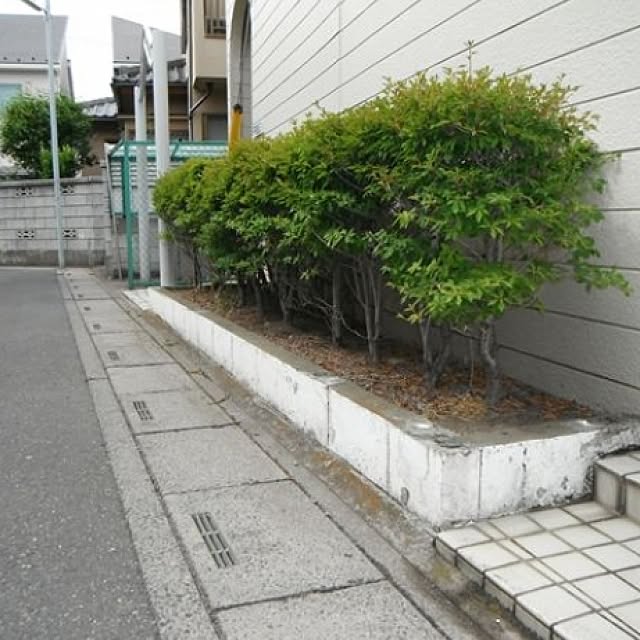 GreenWorksさんの実例写真