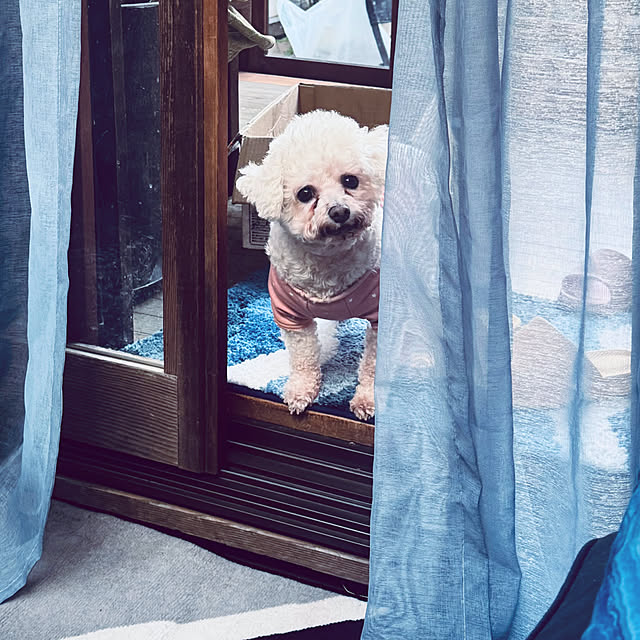 chacoさんの部屋