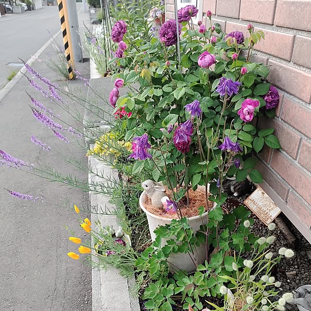 kiraさんの部屋