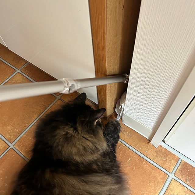 mikomaruさんの部屋