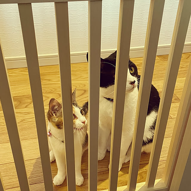 mieさんの部屋