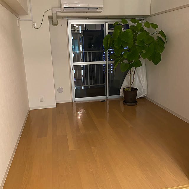 観葉植物/一人暮らし/リビングのインテリア実例 - 2021-01-14 21:23:44