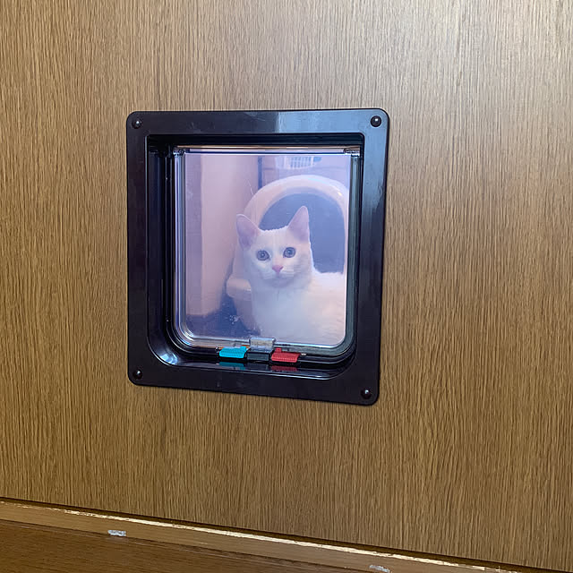 keiさんの実例写真