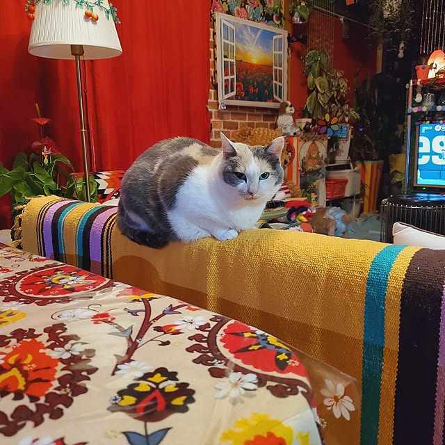 kumutanさんの実例写真