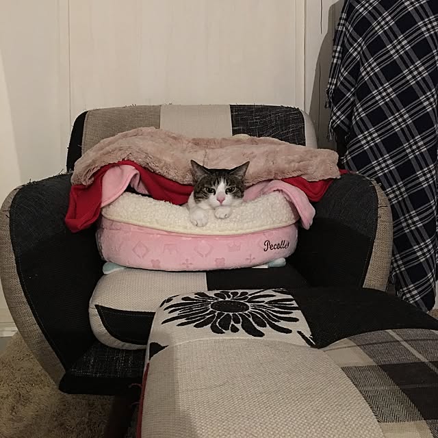 Shihoさんの実例写真