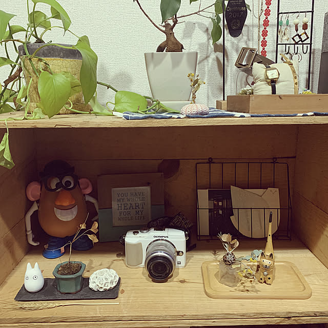 実例写真