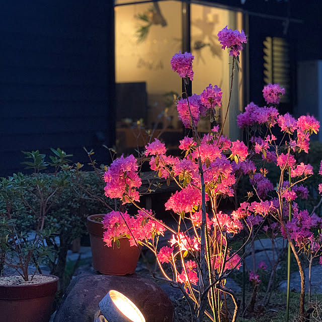 kazenさんの実例写真