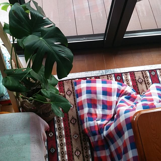 chi.chi.chi.930さんの実例写真