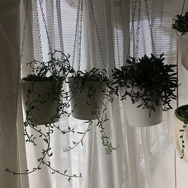 uchidaizuさんの部屋