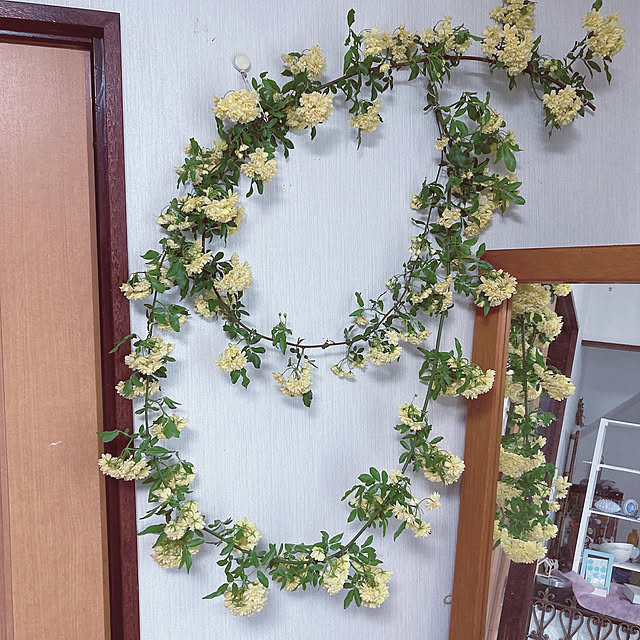 shoさんの実例写真