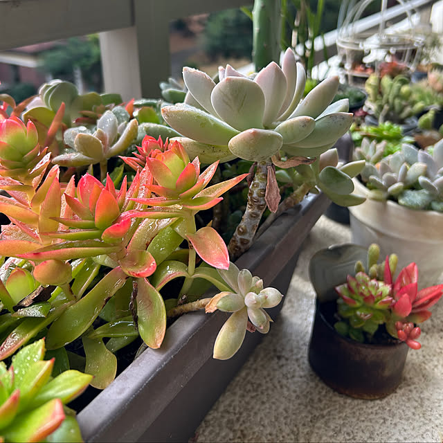 suemonta14さんの部屋