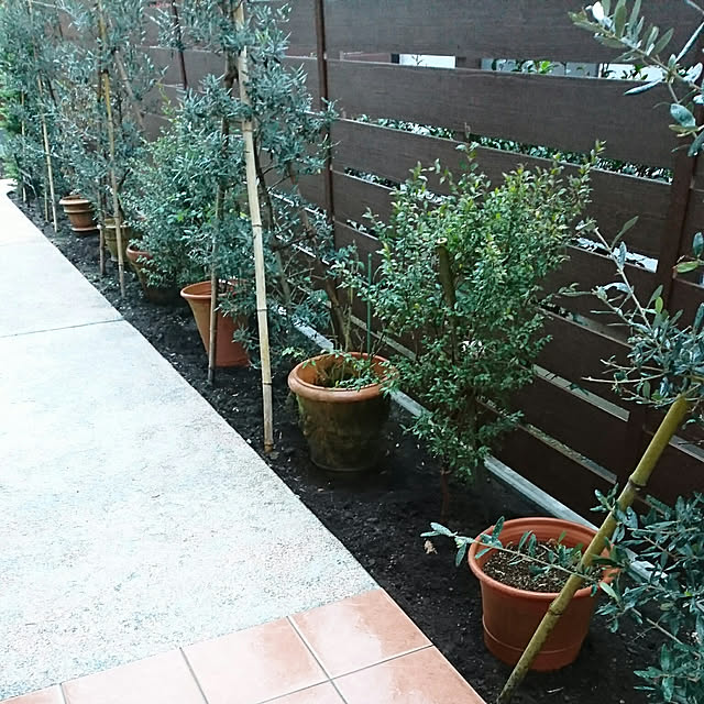 figaroさんの部屋