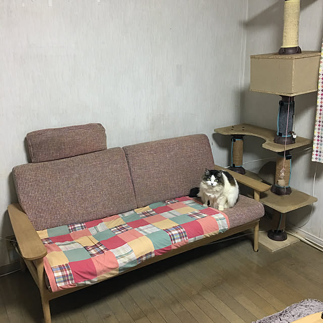 yasuさんの実例写真